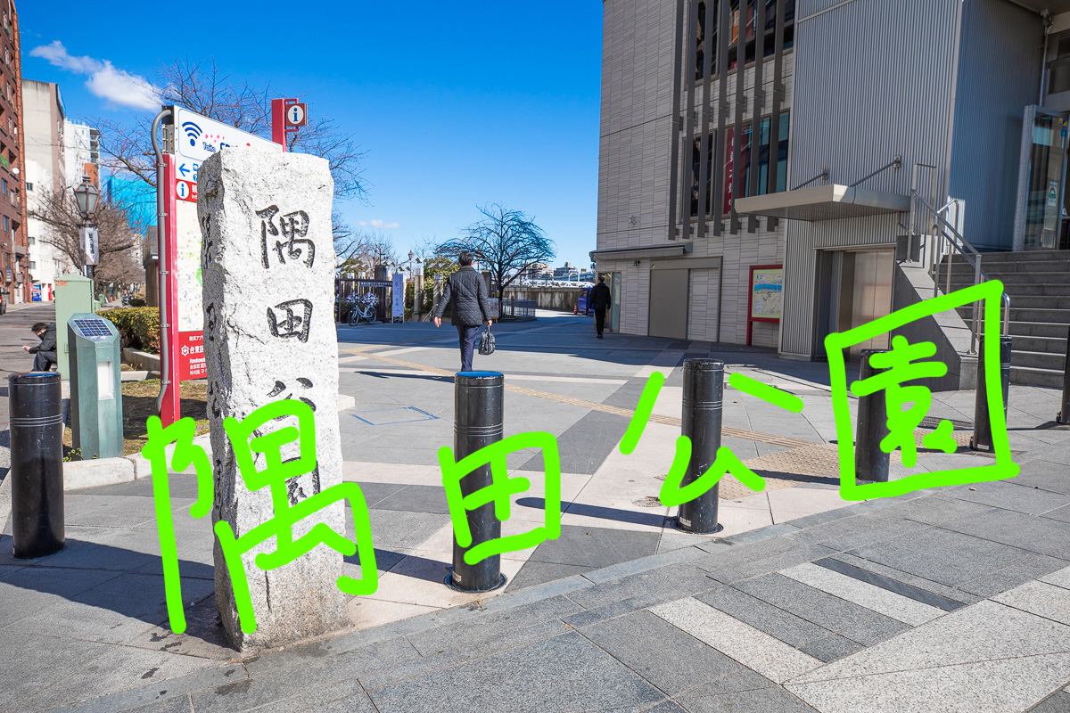 0056__80A8471_220218_1200px_mokuji